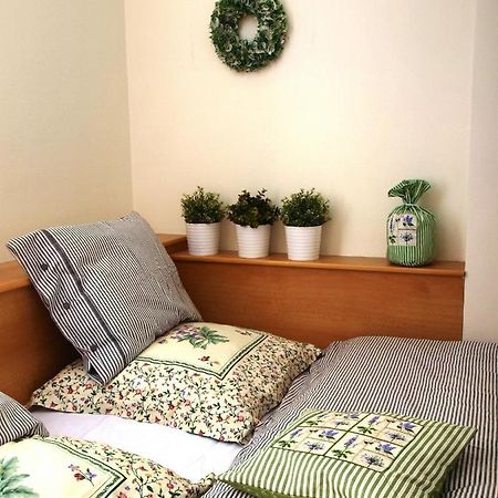 רוקיטניצה נאד איז'רו Apartman 6 U Sjezdovek מראה חיצוני תמונה